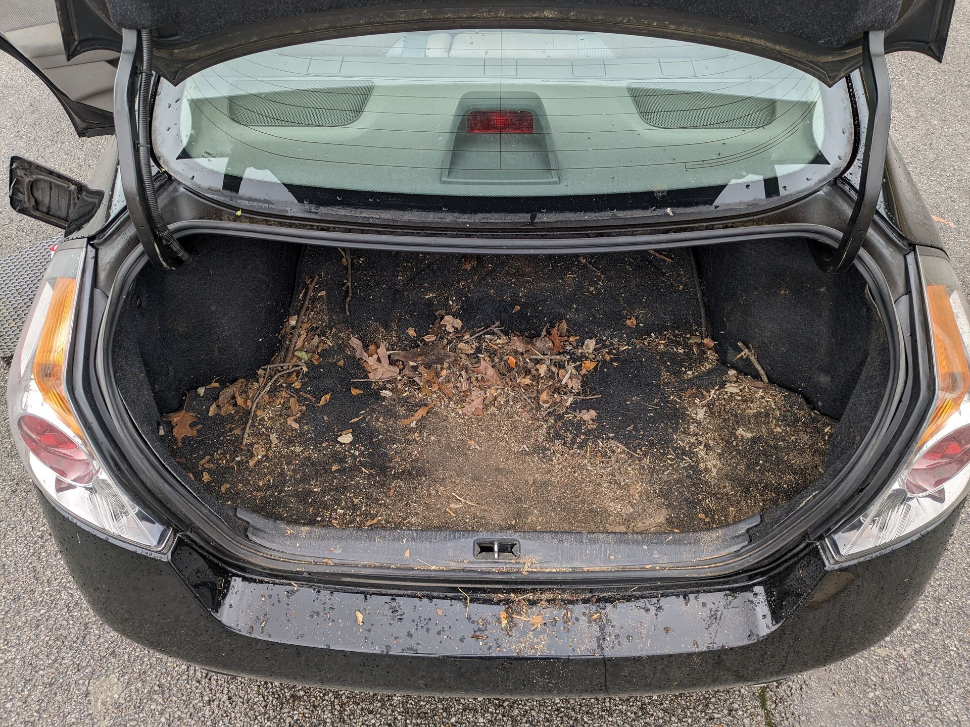 Interior Detailing Trunk - Before