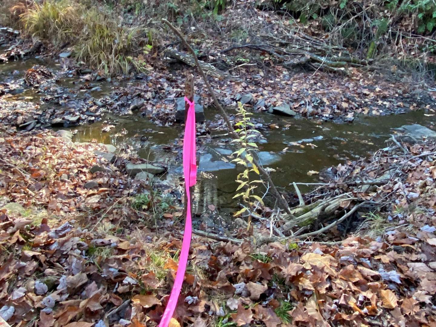 Appraisal & Boundary Line Maintenance in Windsor, NY