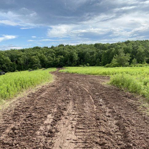 Local Forestry Specialization in Windsor, NY