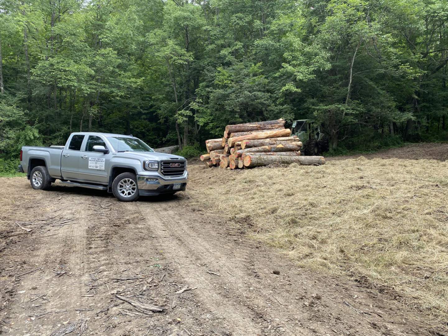 About Newman Forest and Wildlife Management in Windsor, NY