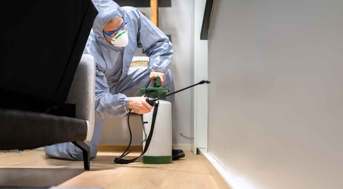 Residential Pest Control