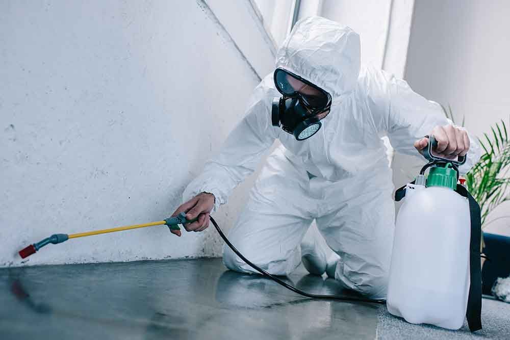 pest identification in Maryland