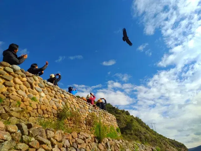 Gente sentada en un muro de piedra observando a un pájaro volar sobre un cielo azul y una ladera verde.