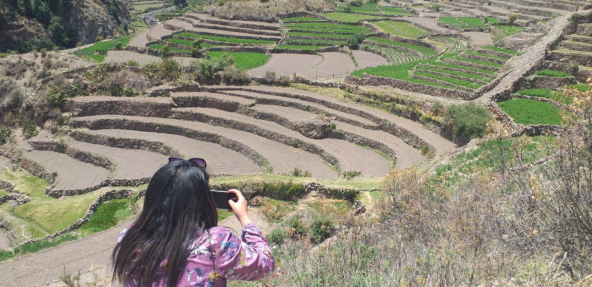 Persona con chaqueta rosa fotografiando arrozales en terrazas en una ladera.