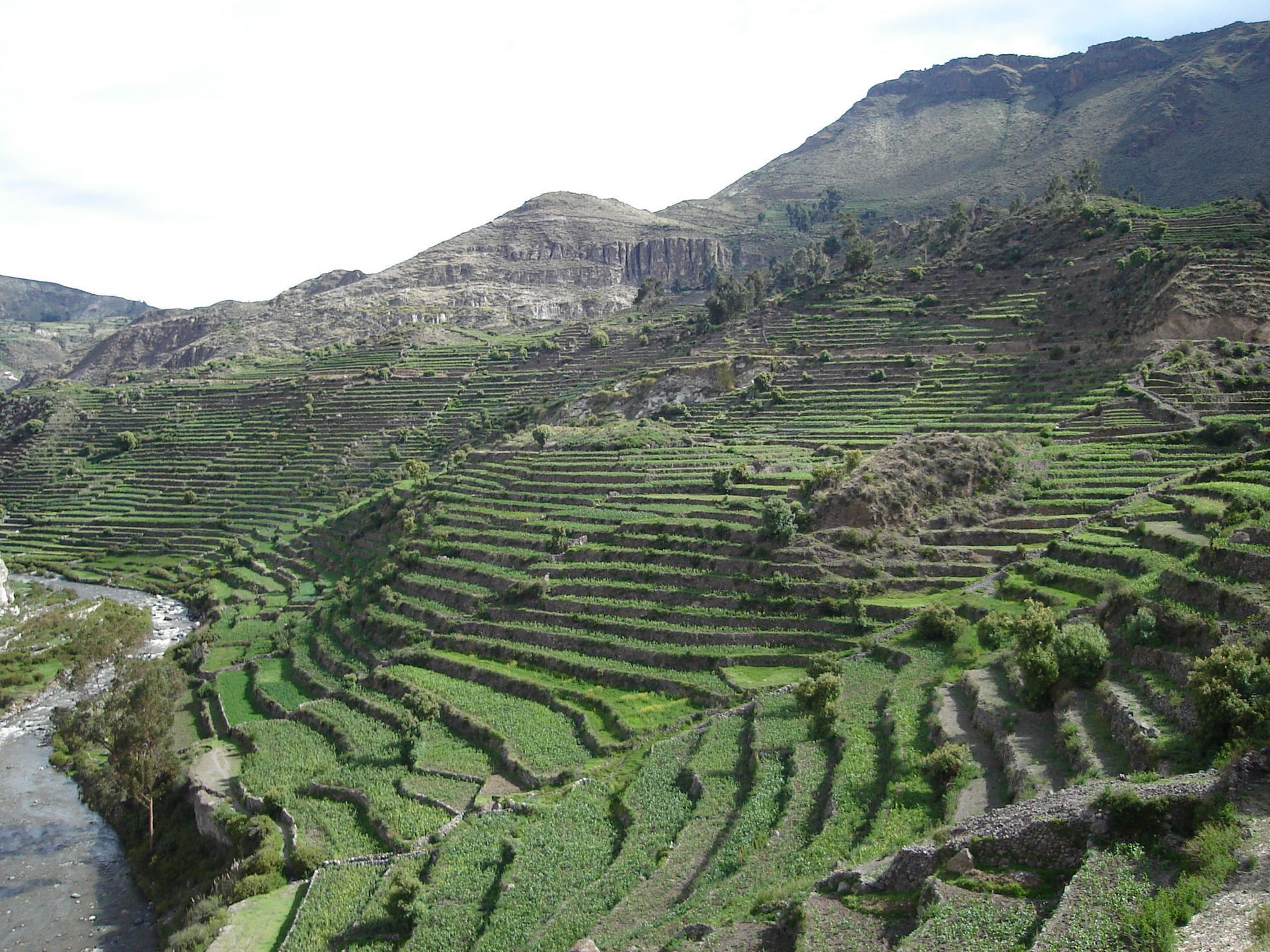 Ladera verde aterrazada sobre un río bajo un cielo nublado