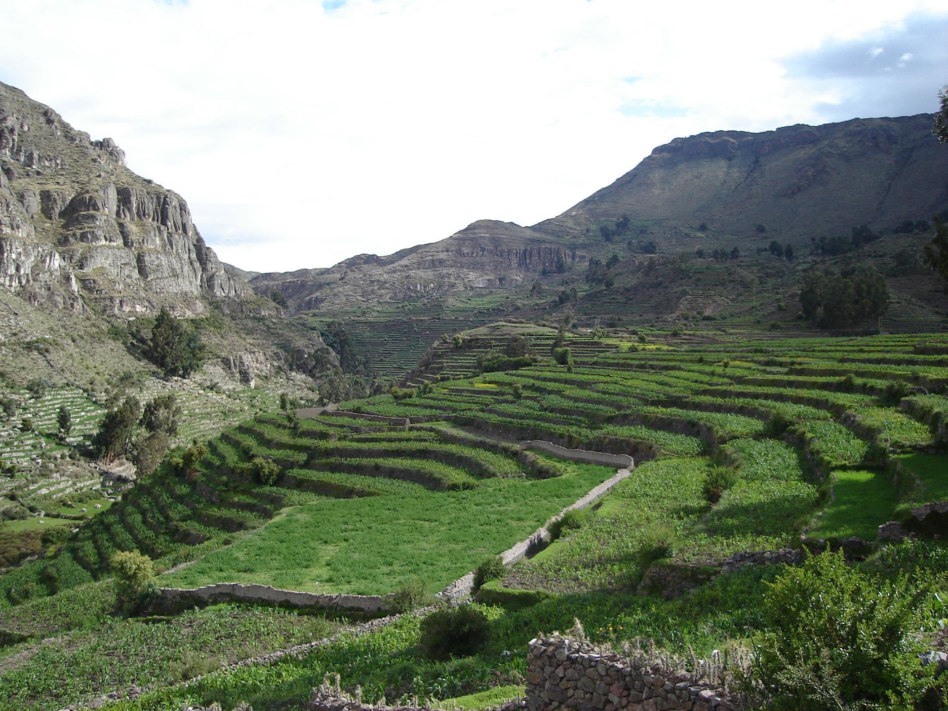 Campos verdes en terrazas en un valle de montaña bajo un cielo nublado.