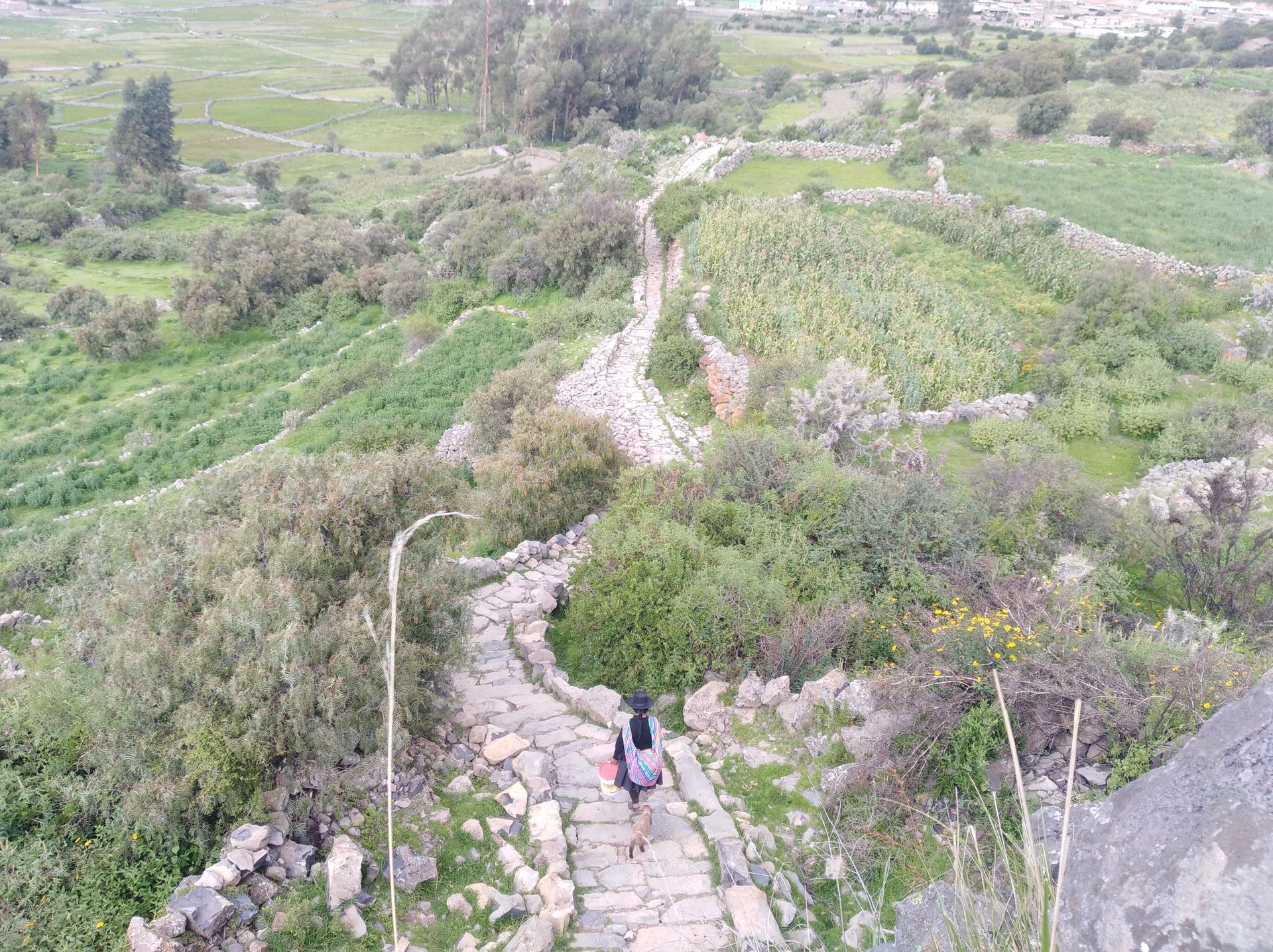 Sendero de piedra que serpentea entre verdes colinas, con una persona solitaria caminando cuesta arriba.