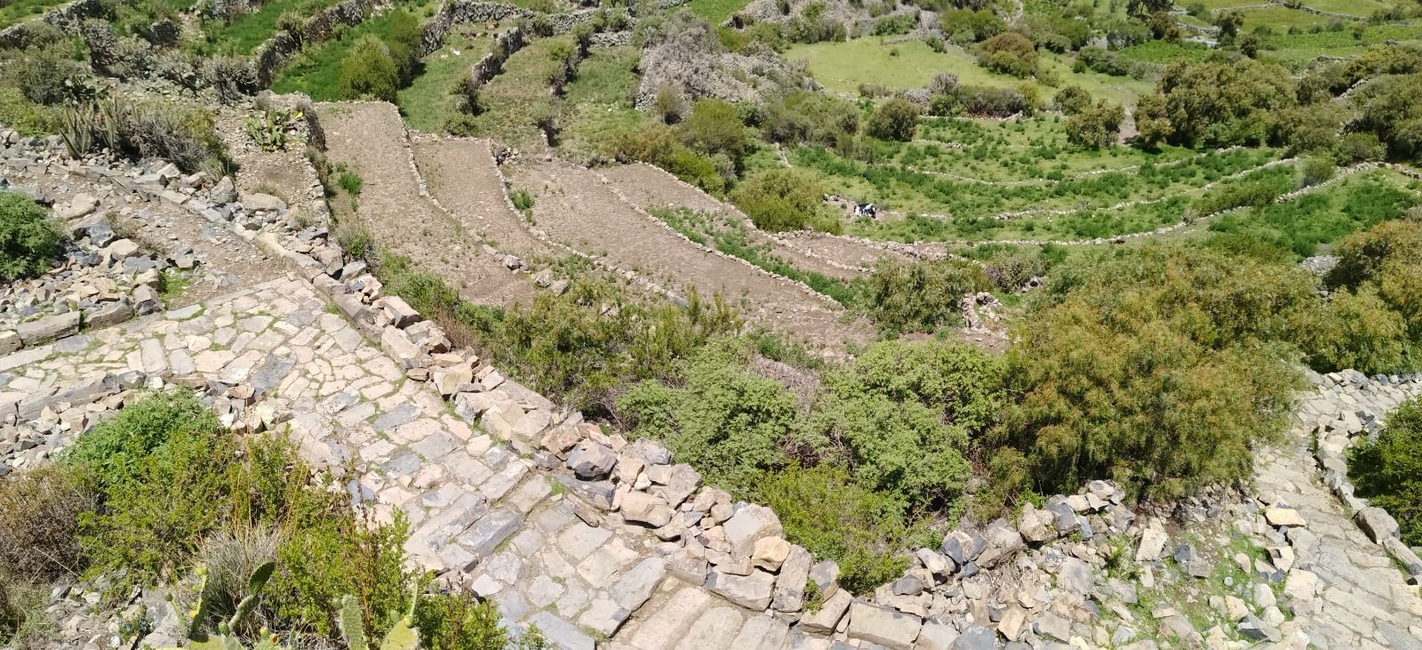 Escalones de piedra y un sendero serpenteante a través de una ladera rocosa y verde.