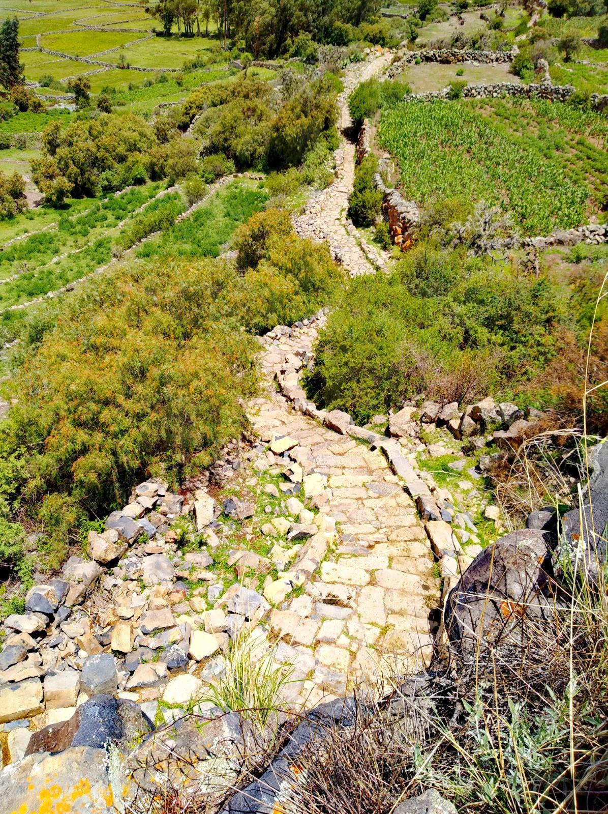 Sendero de piedra que serpentea a través de un exuberante jardín en la ladera.