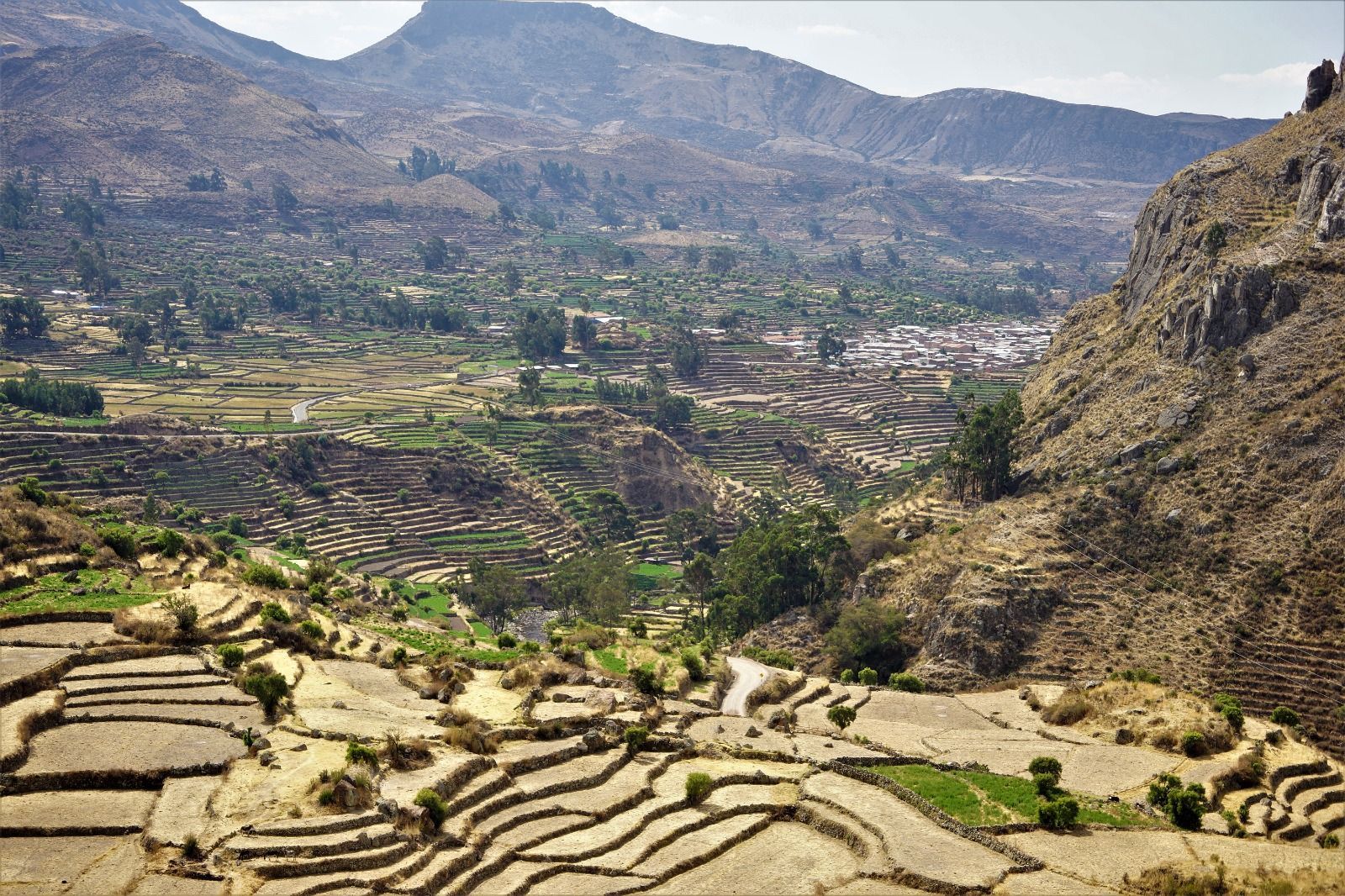 Campos en terrazas con vistas a un valle de montaña verde y acantilados rocosos bajo un cielo despejado.