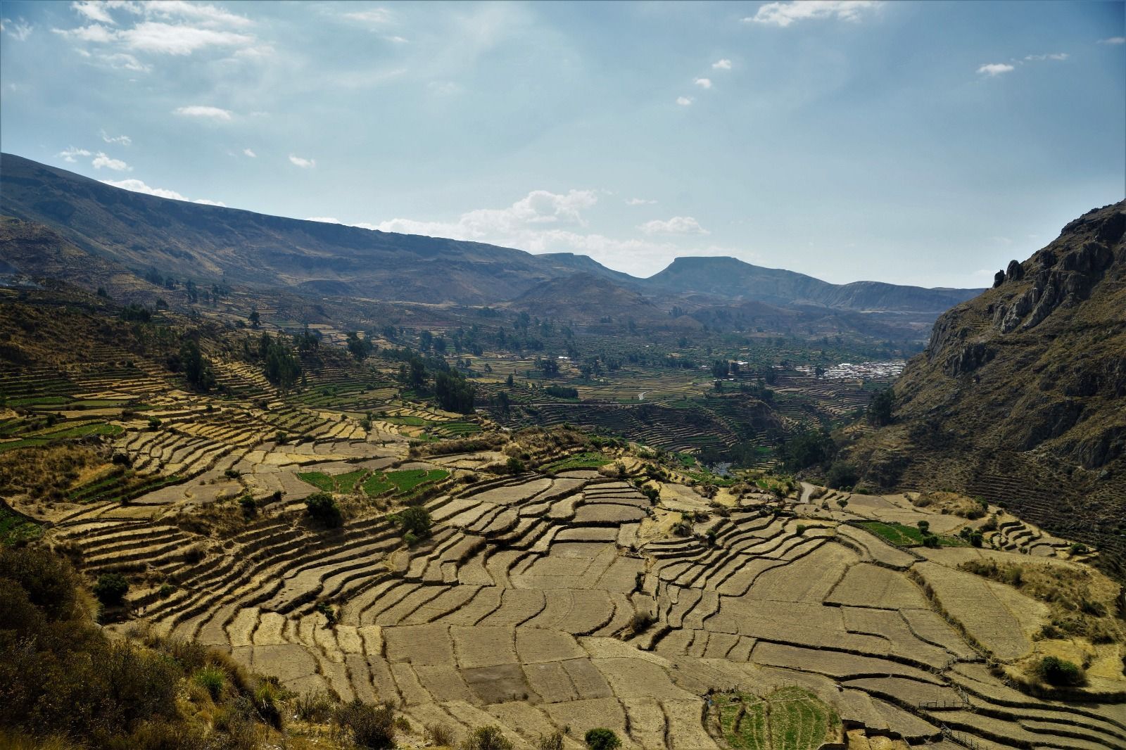 Campos de cultivo en terrazas en un valle montañoso bajo un cielo azul despejado.