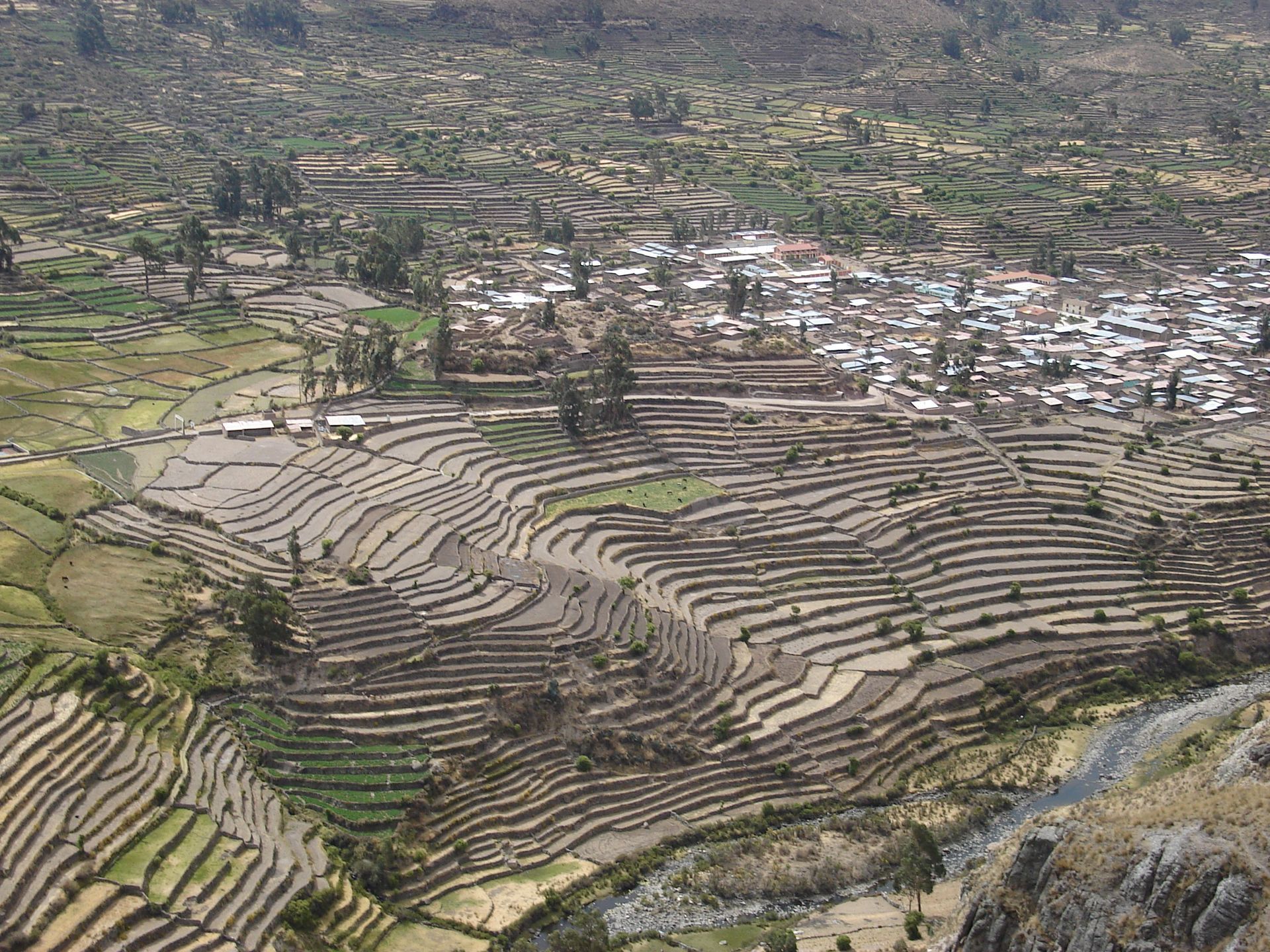 Campos de cultivo en terrazas en la ladera de una colina junto a un pueblo, con pendientes secas