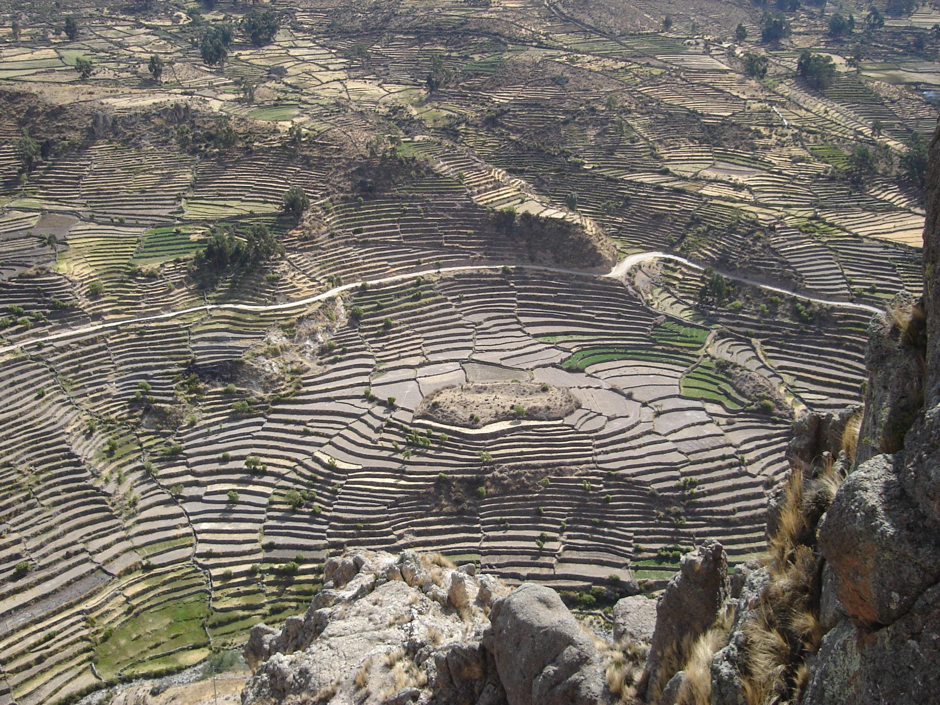 Campos aterrazados en la ladera con muros de piedra y zonas verdes, vistos desde un mirador rocoso.