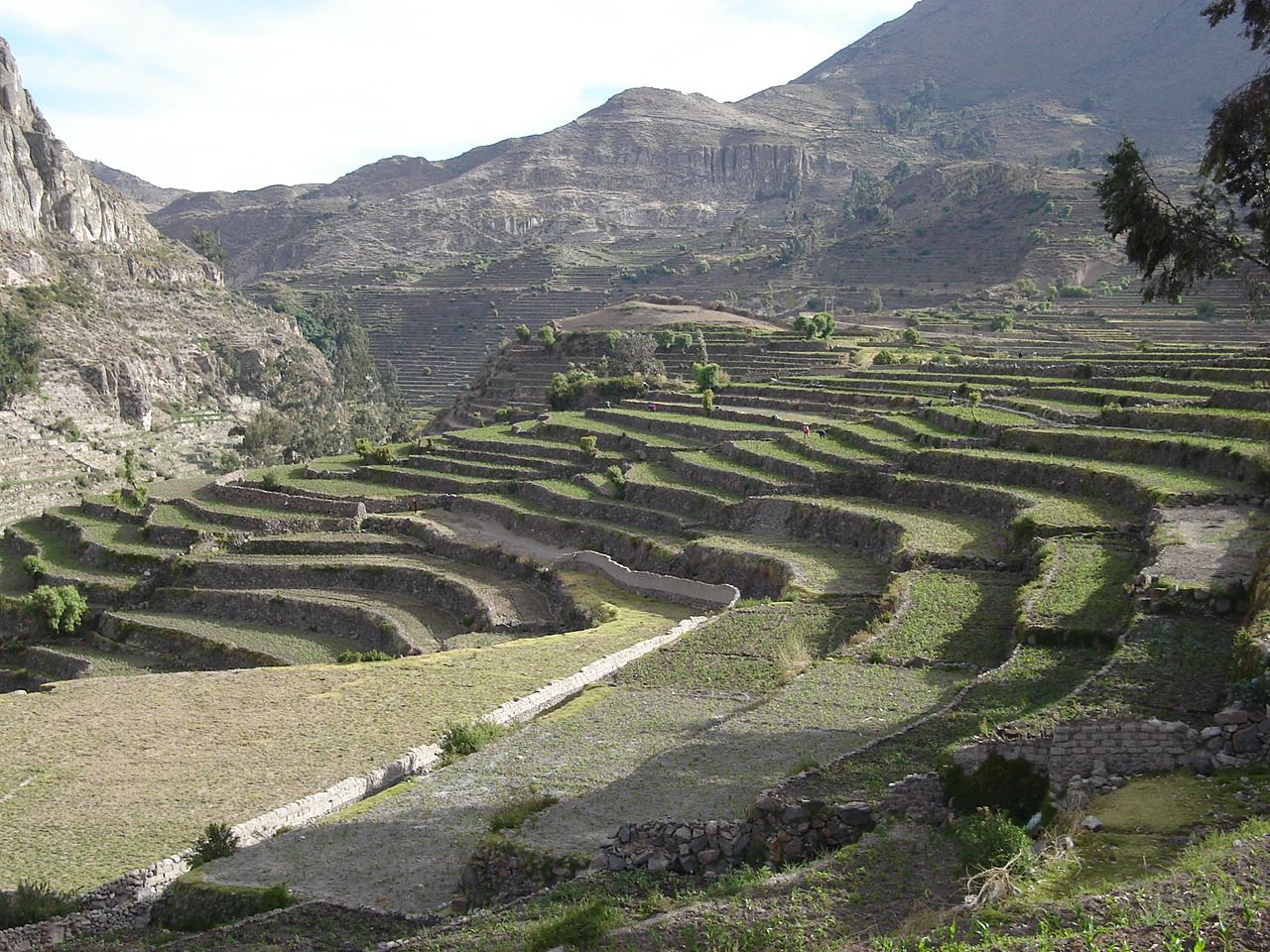 Terreno de cultivo de montaña en terrazas con escalones de piedra y un estrecho canal de agua en un valle rocoso.