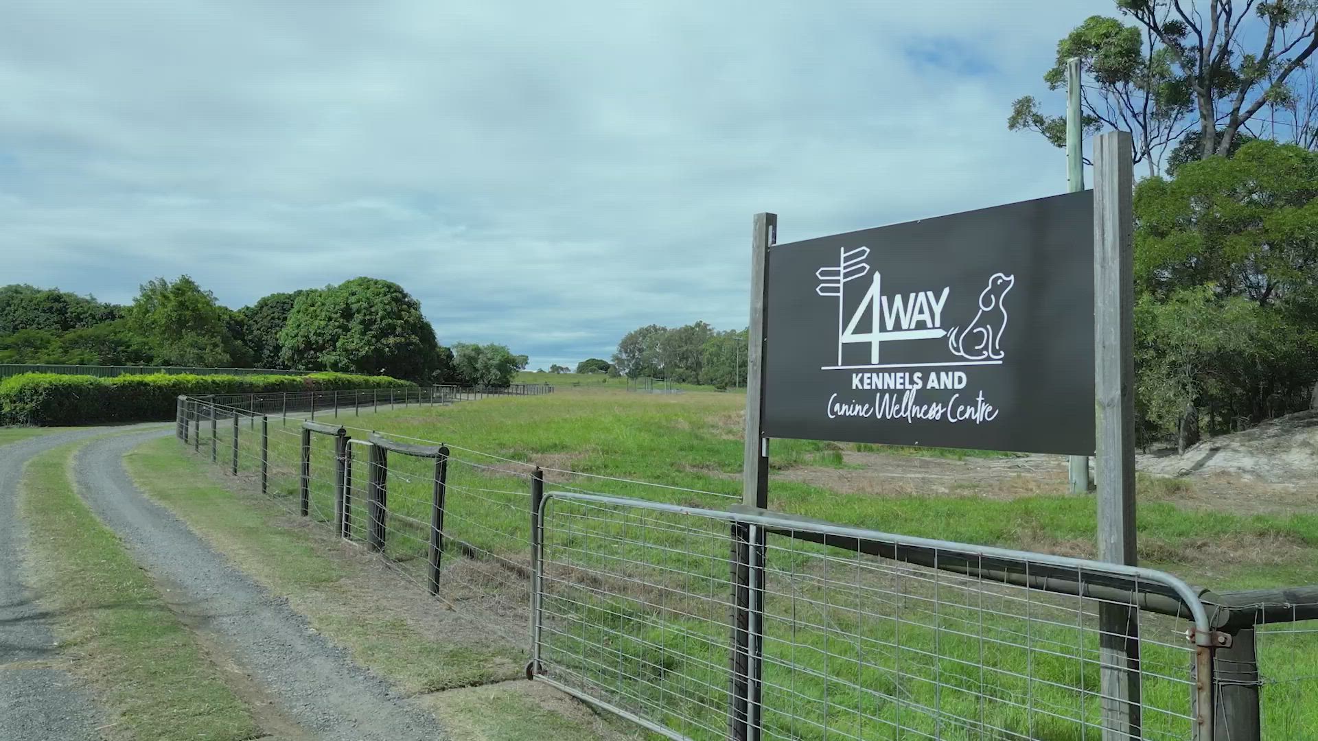 Cattery West End Kennels Stowmarket Dog Boarding Kennels Bundaberg