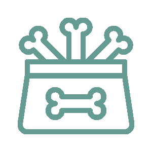 Teal Container Filled With Bones, One on the Front — Four Way Kennels & Canine Wellness Centre in Kinkuna, QLD Teal Container Filled With Bones, One on the Front — Four Way Kennels & Canine Wellness Centre in Kinkuna, QLD