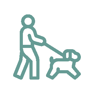 Person Walking a Dog on a Leash — Four Way Kennels & Canine Wellness Centre in Kinkuna, QLD