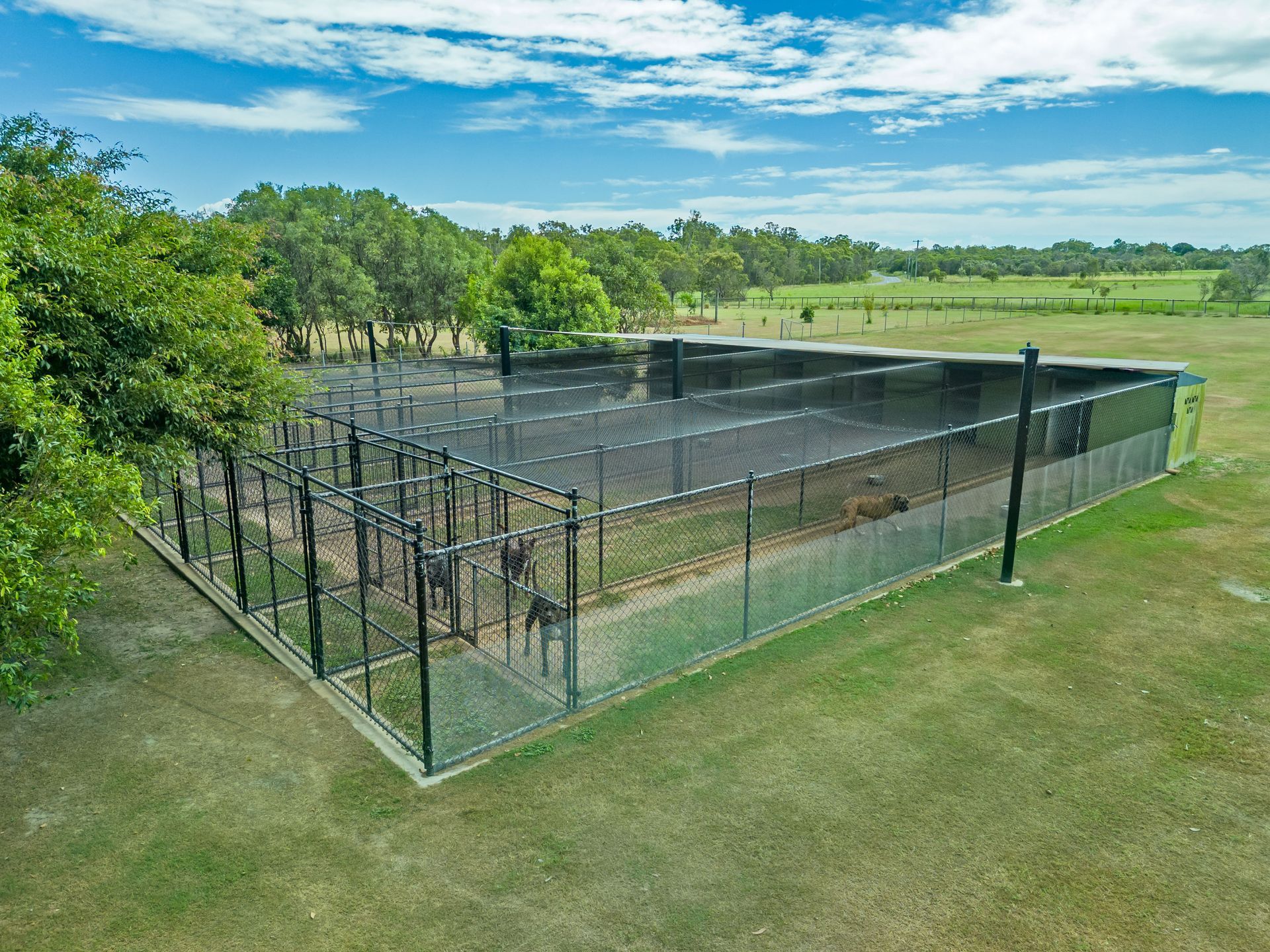 A large enclosed cricket practice net on a grassy field under a bright blue sky. — 4 Way Kennels & Canine Wellness Centre in Kinkuna, QLD