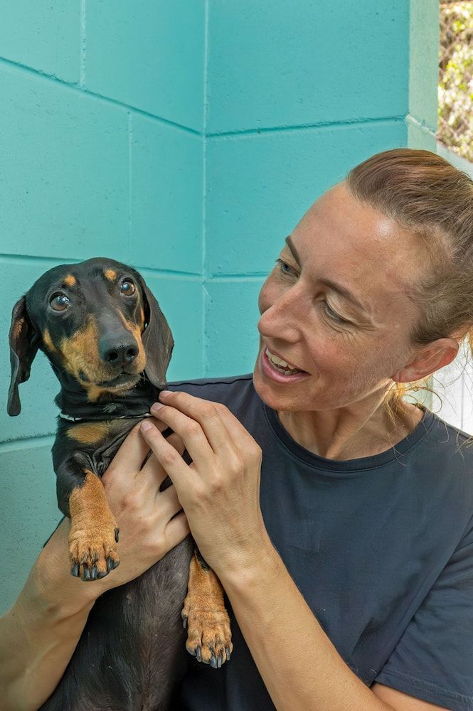 Woman Holding a Black and Tan Dachshund Dog — 4 Way Kennels & Canine Wellness Centre in Kinkuna, QLD