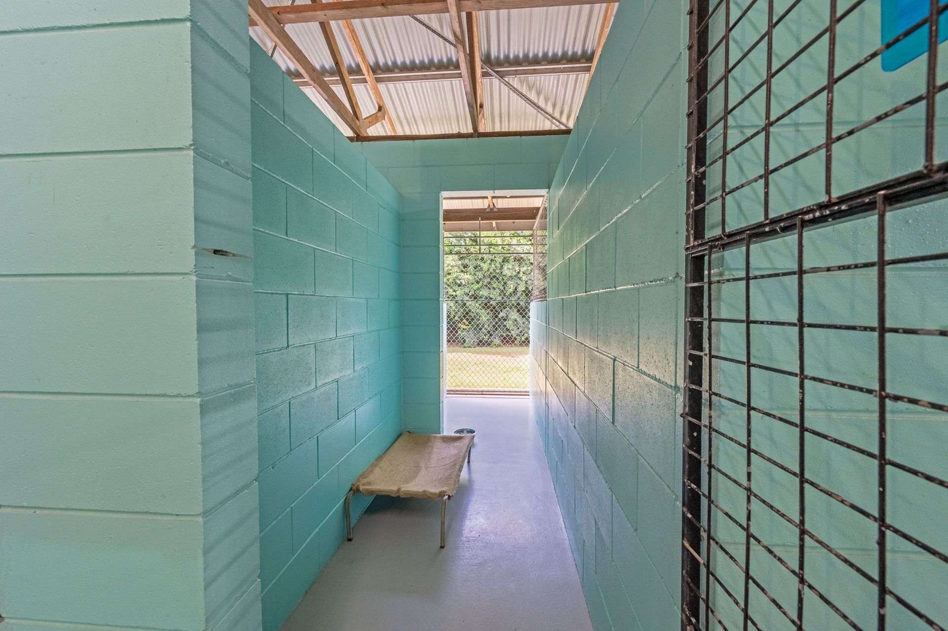 Yellow Labrador Retriever in a Park, Smiling With Tongue Out — 4 Way Kennels & Canine Wellness Centre in Hervey Bay, QLD