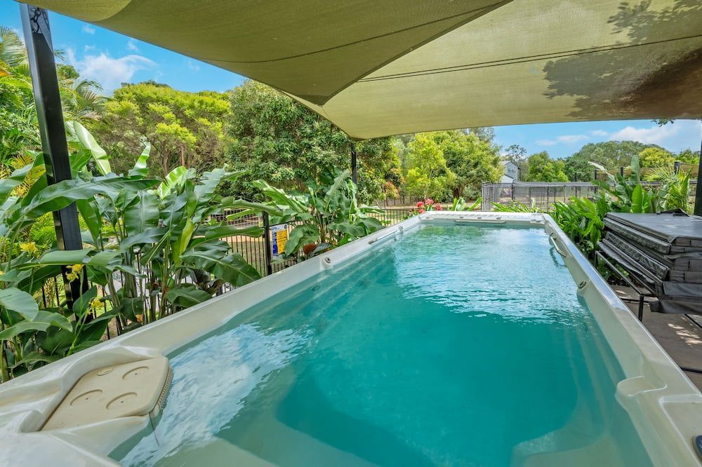 Rectangular Swimming Pool With Turquoise Water — 4 Way Kennels & Canine Wellness Centre in Maryborough, QLD