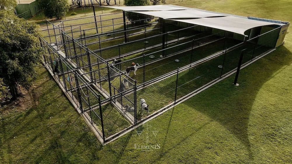 Outdoor Enclosure With Multiple Cages on a Grassy Field — 4 Way Kennels & Canine Wellness Centre in Kinkuna, QLD