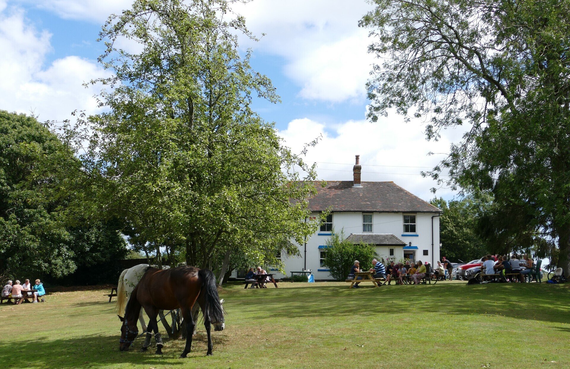 Tea rooms in Canterbury