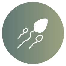 IVF payment plans