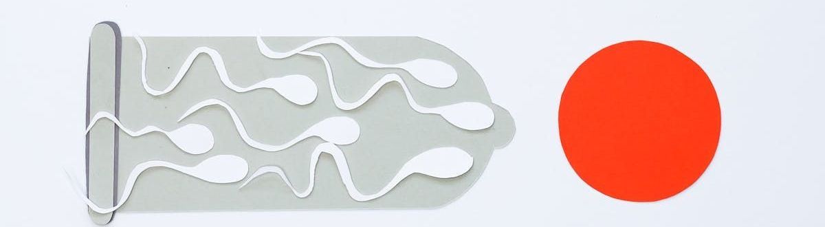 Sperm swimming towards a large red egg.