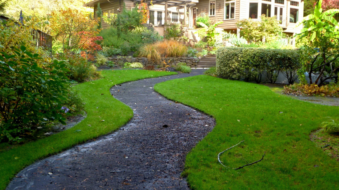 A path going through a lush green garden with a house in the background.