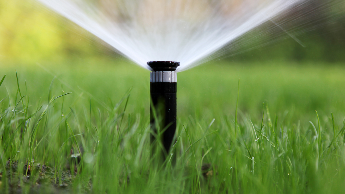 A sprinkler is spraying water on a lush green lawn.