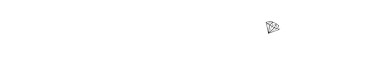 The Jewelers Shop The Jewelers Shop