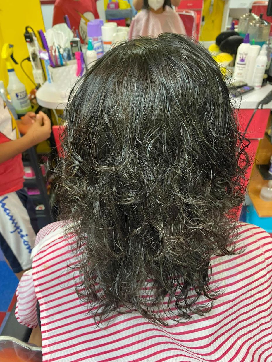 Back view of shoulder-length wavy dark hair with silver highlights in a salon chair