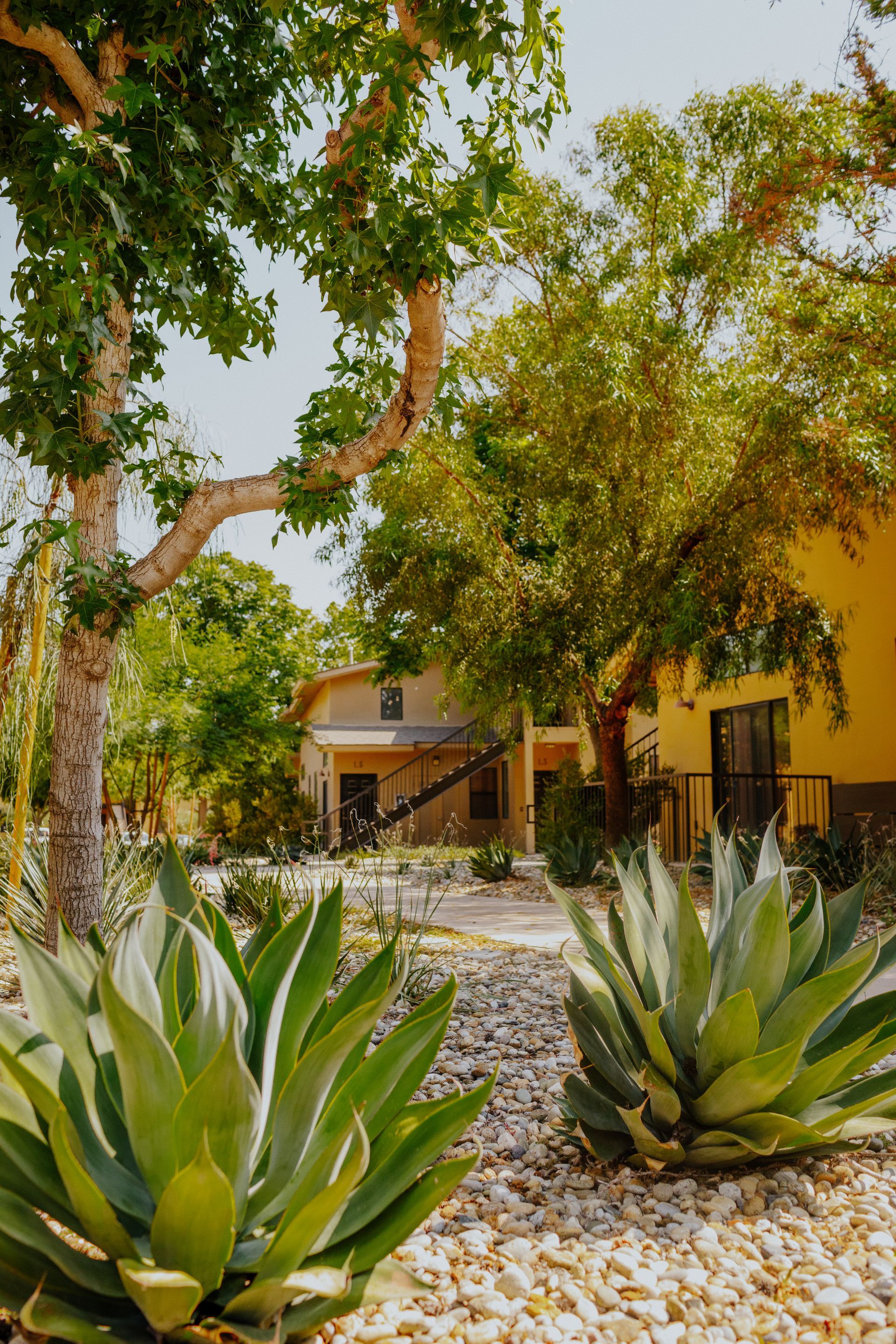 A yellow house with a lot of trees and plants in front of it.