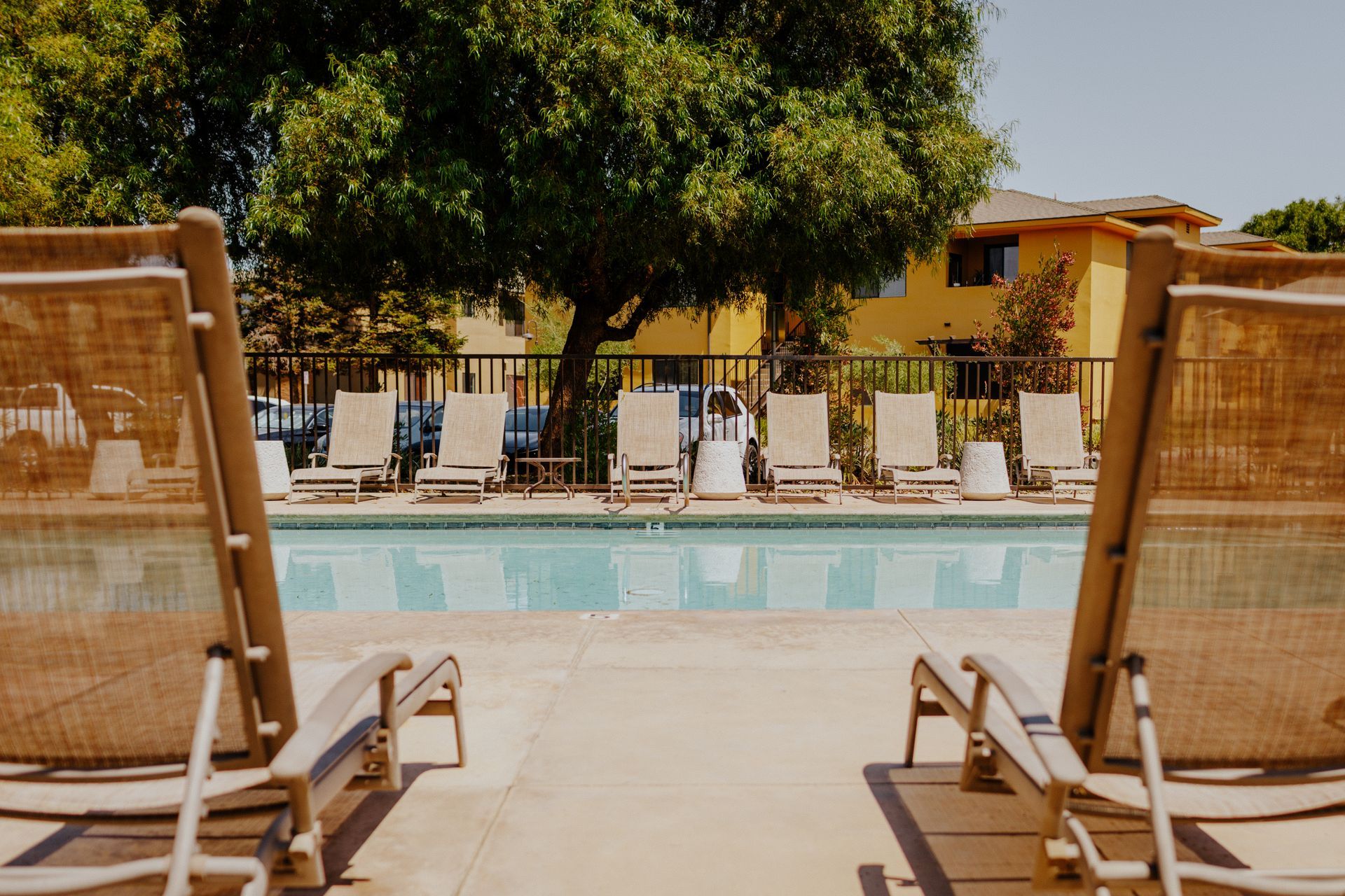 A row of chairs are sitting next to a swimming pool.