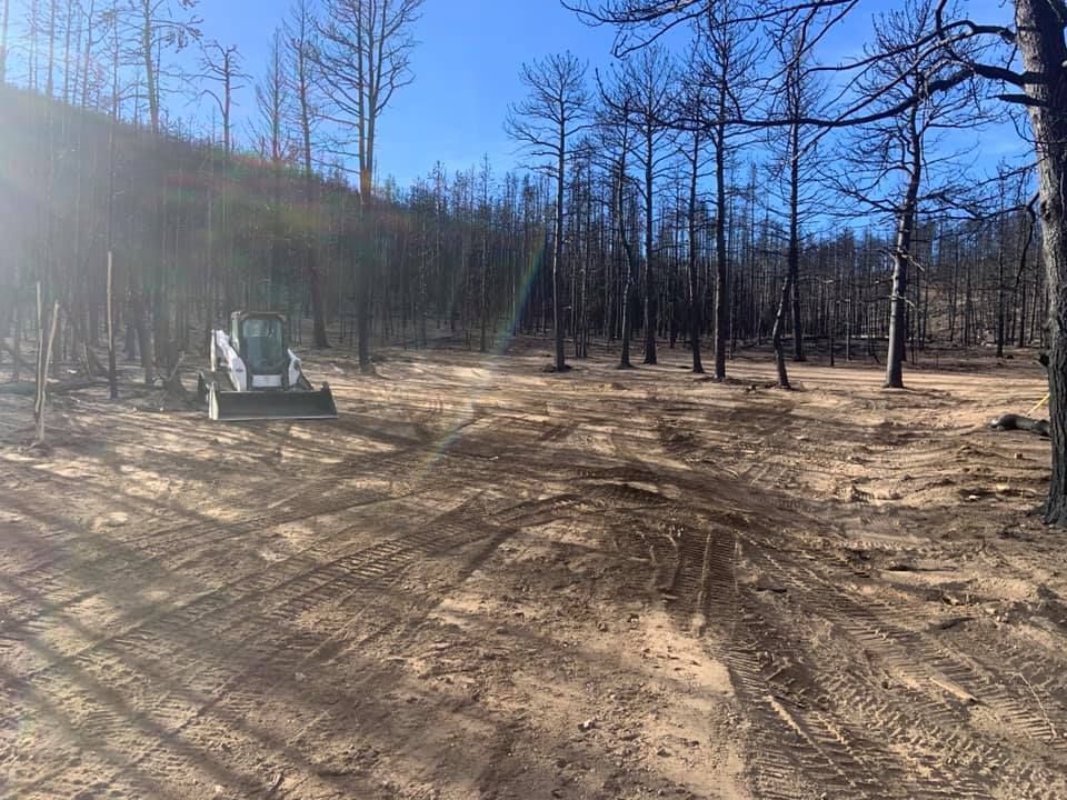A bulldozer is moving dirt in a forest.