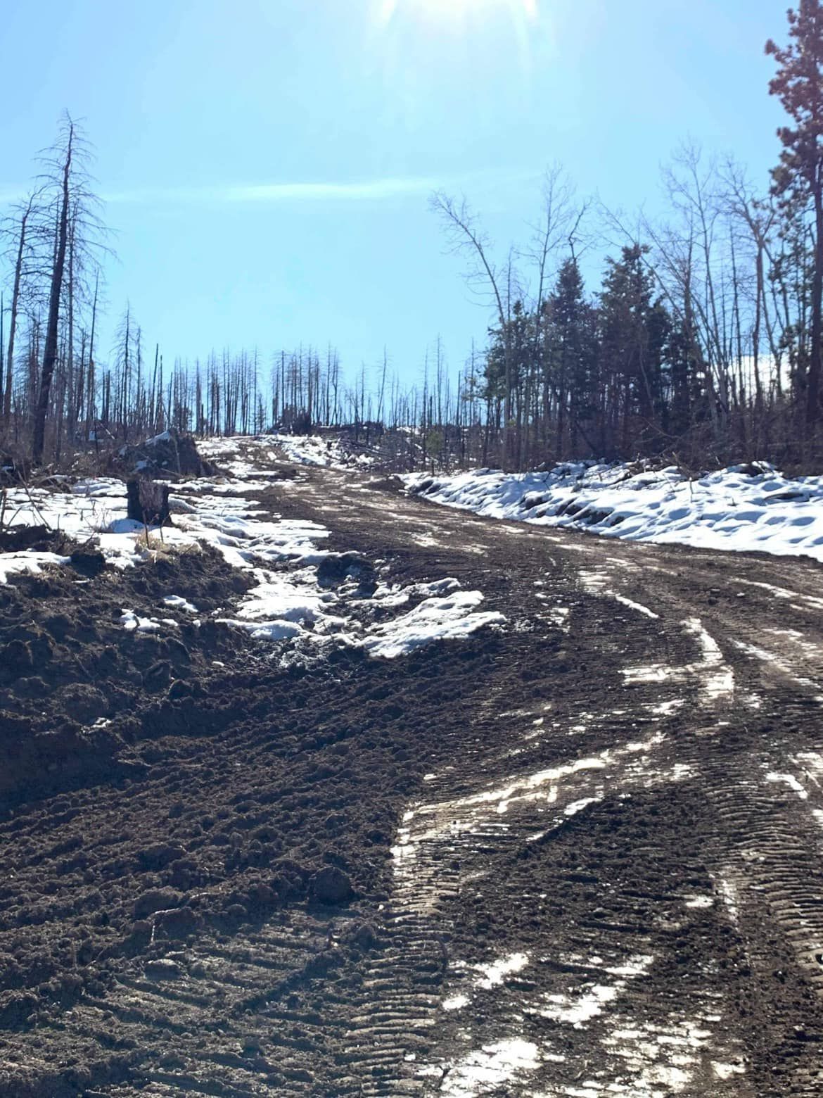 A dirt road with snow on the ground and trees in the background
