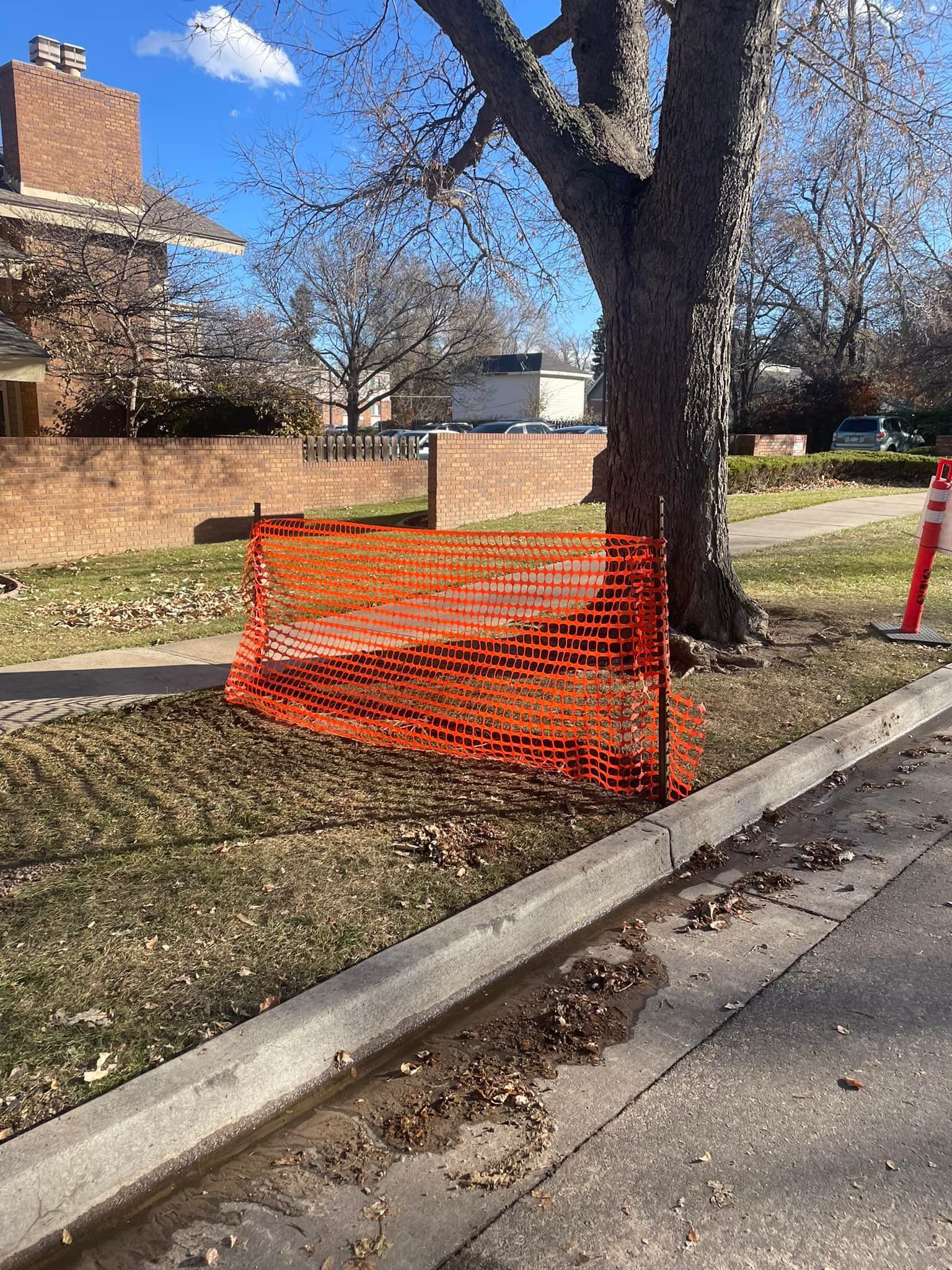 A tree is behind a fence on the side of the road.