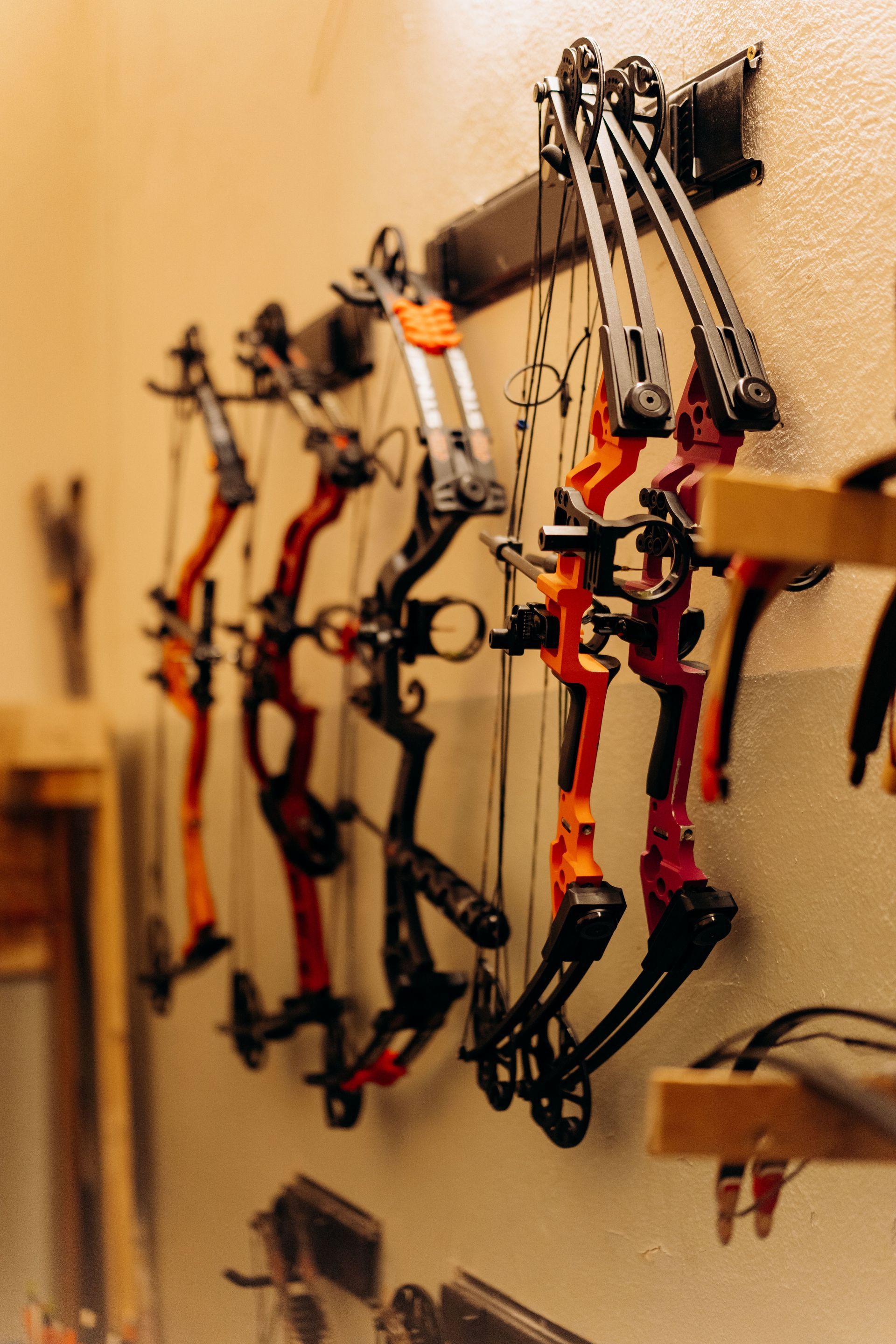 Several compound bows hanging on a wall, mostly black and red, in a shop or storage room