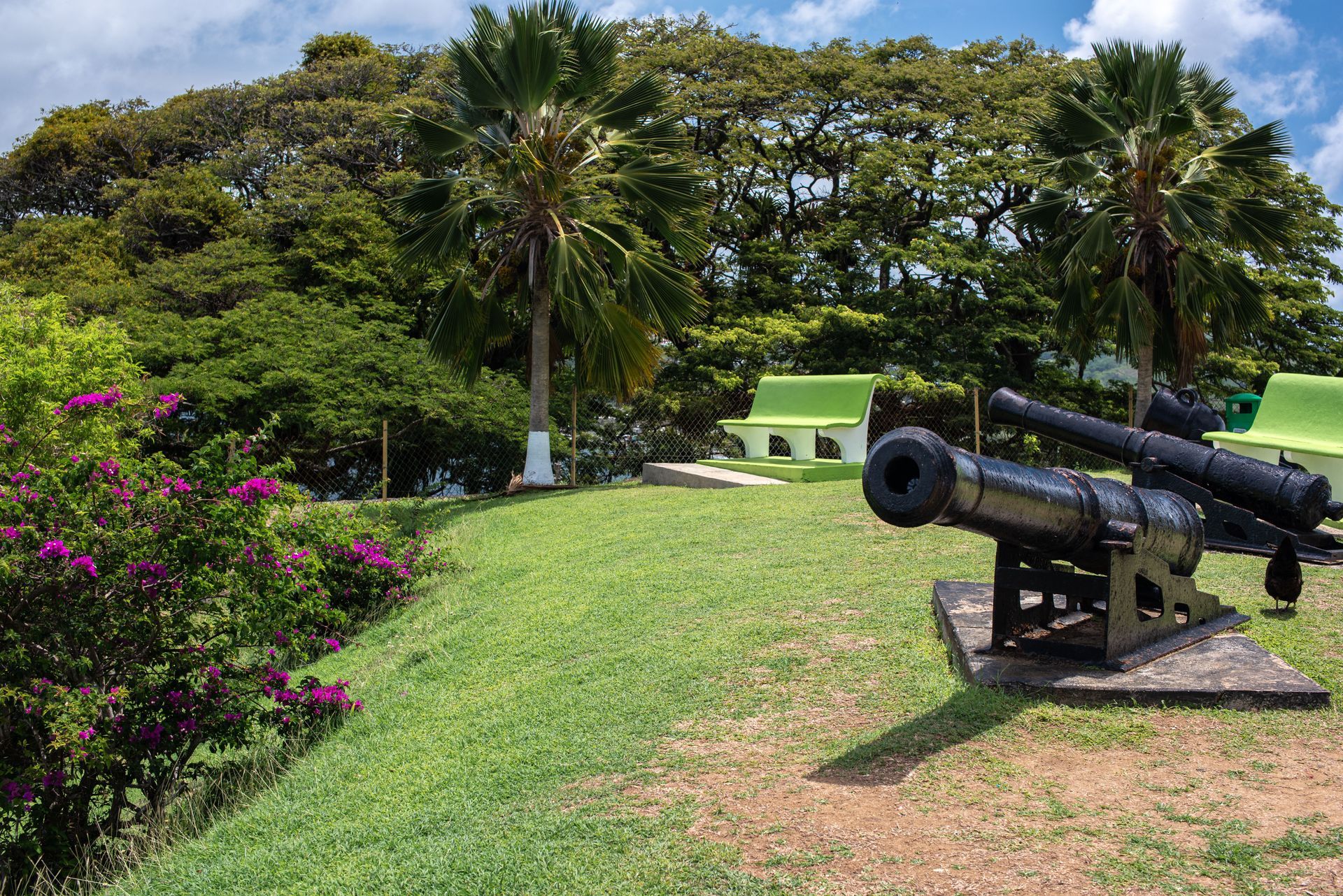 Black cannon on a grassy hill in a tropical park with palm trees and flowering bushes