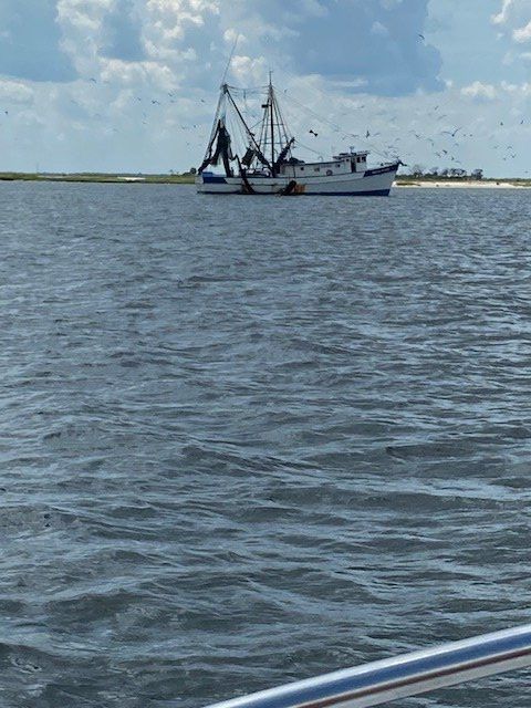 Fishing boat on calm blue water near a low shoreline under a cloudy sky