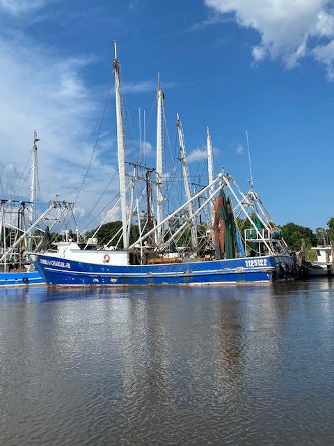 Blue fishing boat docked in a harbor with tall masts and nets under a clear sky