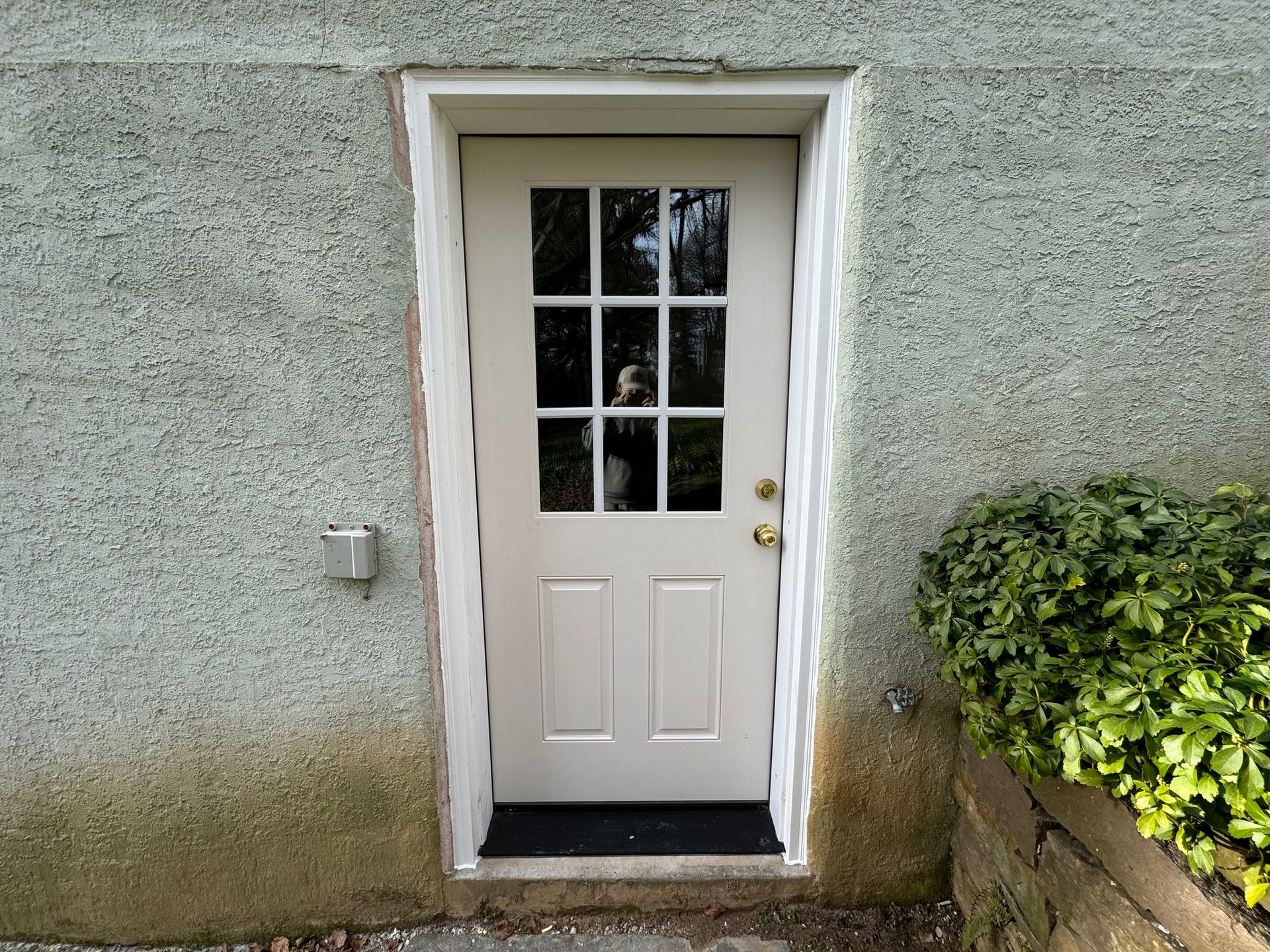 Beige door with nine window panes, set in white trim against textured gray wall.
