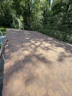 Roof covered in brown shingles beside dense green trees in dappled sunlight