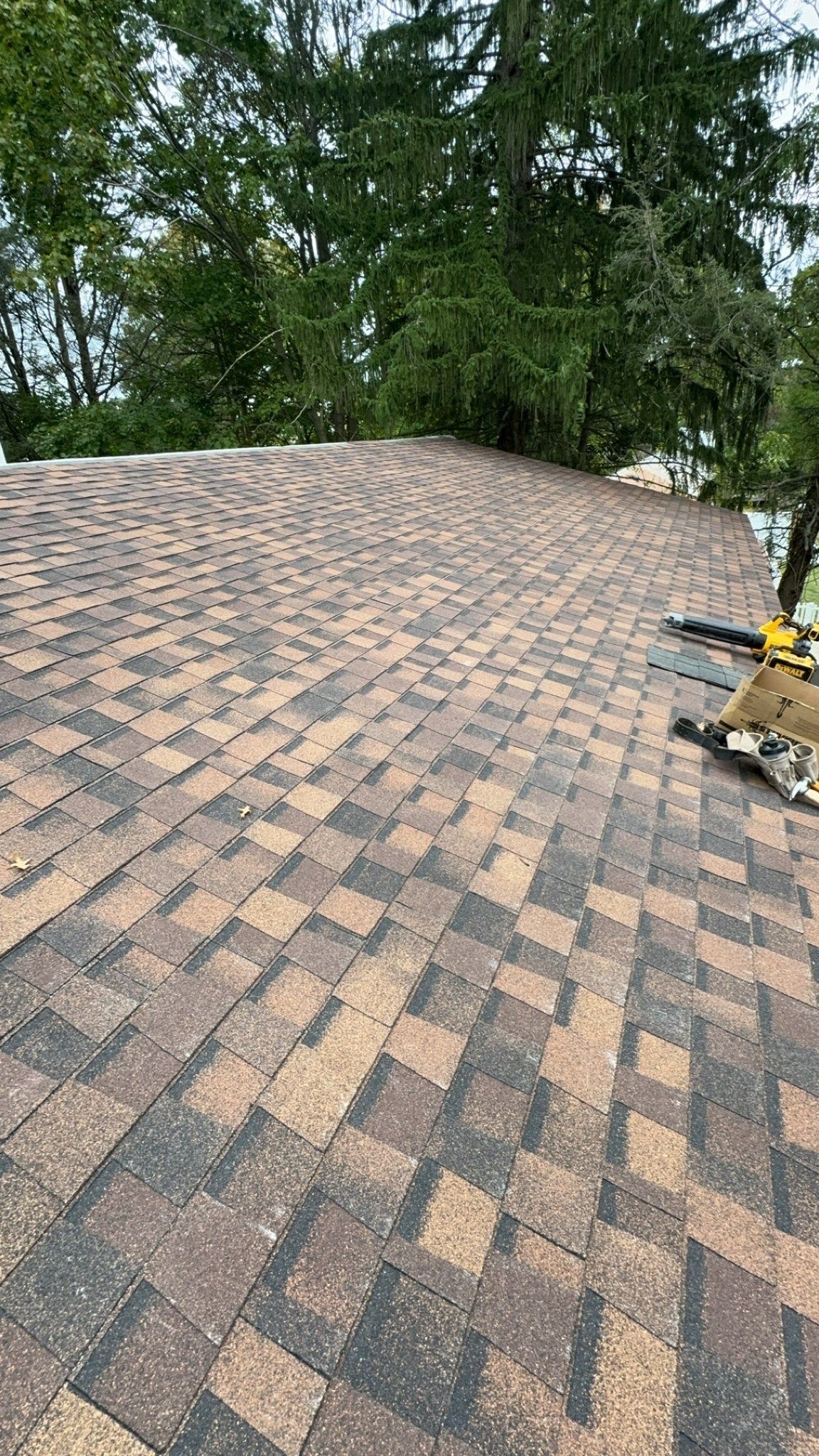 Brown and gray asphalt shingle roof, possibly under construction, with green trees in background.