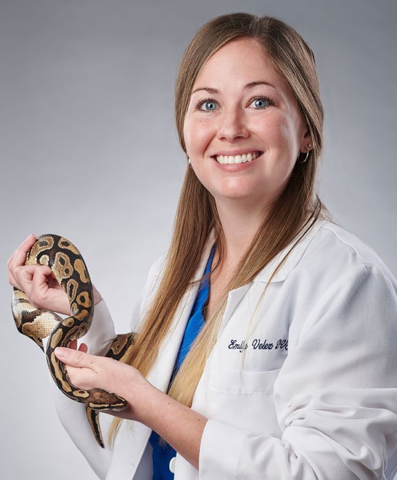 About Us Exotic Pet Vets