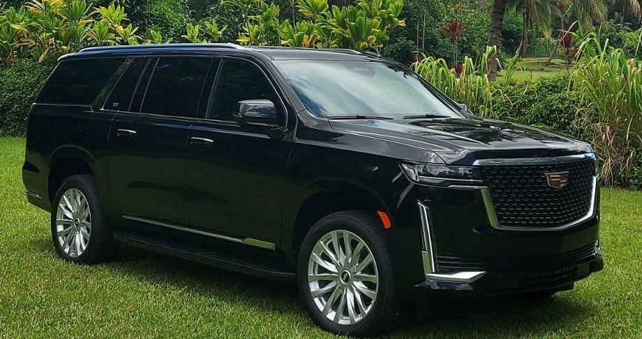 Black Cadillac Escalade SUV parked on grass in a sunny outdoor setting.
