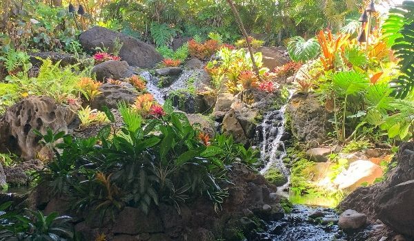 A small waterfall cascades over rocks and lush greenery, with bright tropical flowers in the background.