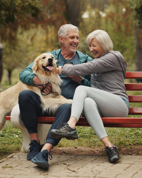 Older couple smiling on a park bench with a golden retriever on a leash