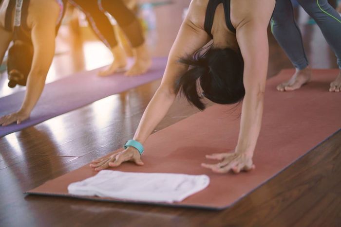 A group of people are doing yoga in a gym.